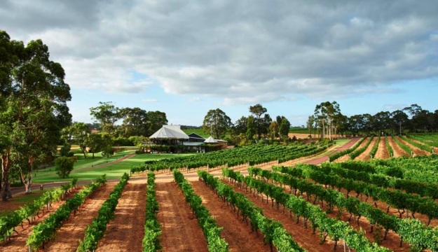 玛格丽特河飞鹰酒庄精选美食美酒体验赠送酒窖免费品酒2人起订