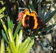 牛姆林生态旅游区-永春-C-IMAGE