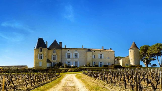 波尔多左岸格拉夫产区 滴金酒庄chateau dyquem)参观品酒