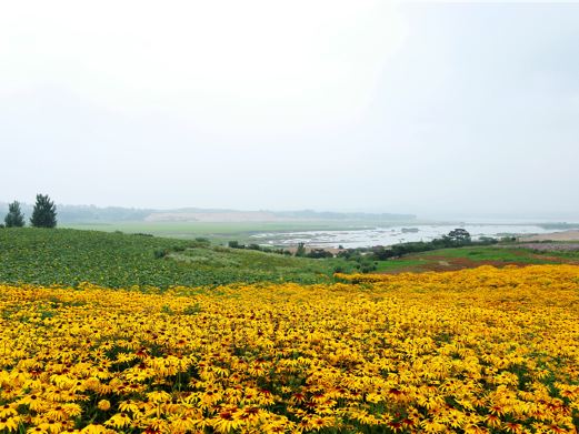 花仙子风景区