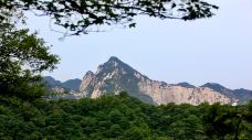 少华山国家森林公园-渭南