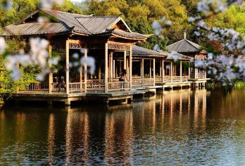 真纯玩半日15人内团：杭州西湖风景名胜区+西湖游船+雷峰塔 【只有半天时间，也可跟团游西湖。】