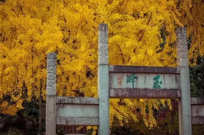 亭林园