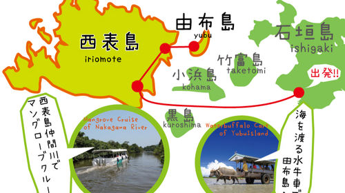 冲绳县石垣西表岛半日游 西表岛仲间川 由布岛水牛车 午餐 线路推荐 携程玩乐