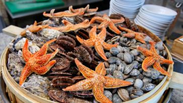 济南索菲特银座大饭店银顶旋转西餐厅自助餐\/