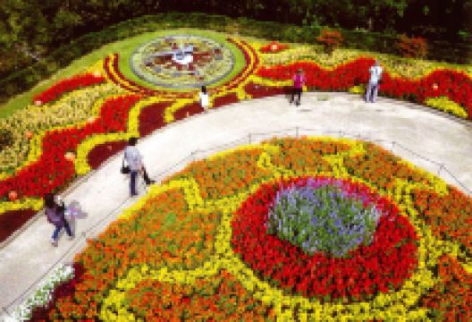 安城产业文化公园景点图片