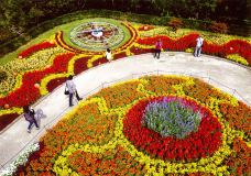 安城产业文化公园-安城市-C-IMAGE