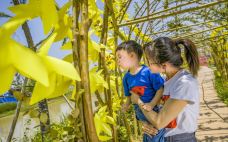 下渚湖·湿地公园-德清