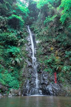 牛姆林生态旅游区-永春