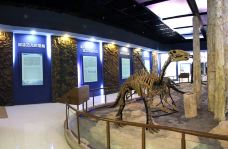 青龙山恐龙蛋化石群国家地质公园-十堰