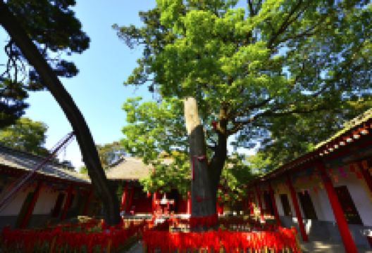 少华山国家森林公园-潜龙寺景点图片