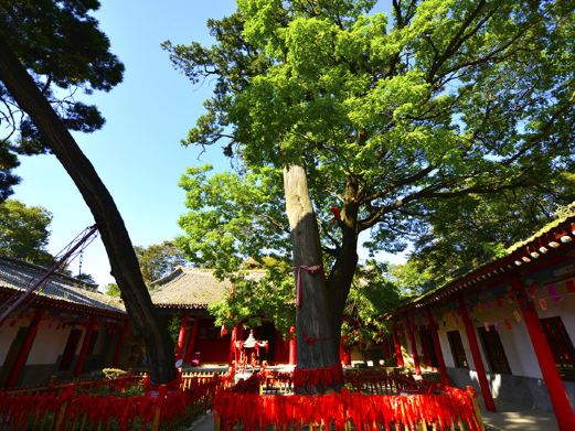 潜龙寺