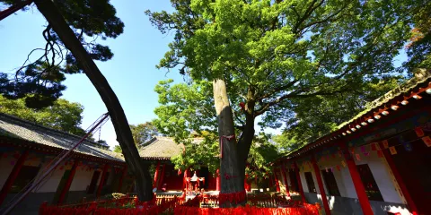 少華山國家森林公園-潛龍寺
