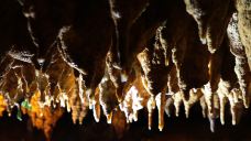 枫林地心大峡谷-阳新