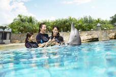 海豚园-新加坡