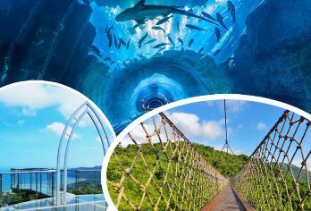 失落的空间水族馆+热带天堂森林公园一日游【私家团接送含门票】【天堂自然氧吧，网红玻璃栈道打卡地，“非诚勿扰2”拍摄取景地；】