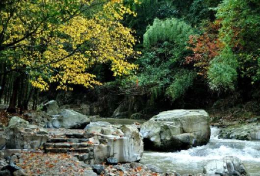 2人起私家团浙东小九寨慈城古县城一日游宁波绍兴杭州上门接送【所选城市市区免费上门接送，方便快捷，省时省力（时间可微调）】