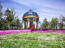 宁波植物园-宁波-C-IMAGE