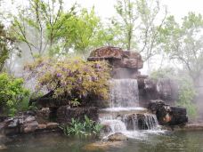 宁波植物园-宁波-C-IMAGE