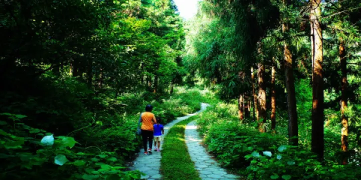 薤山國家森林公園