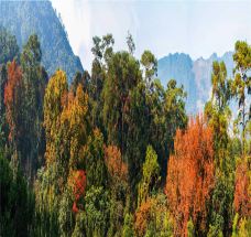 牛姆林生态旅游区-永春-C-IMAGE