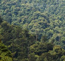 牛姆林生态旅游区-永春-C-IMAGE