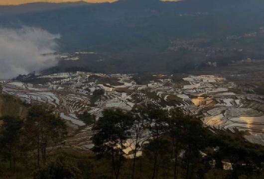 云南元阳哈尼梯田包车一日游【小众包车，专车接送，纯玩无购物】【独立成团，享受家人朋友一起出游的温馨时光；】