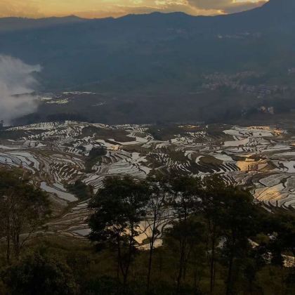 云南元阳哈尼梯田包车一日游【小众包车，专车接送，纯玩无购物】