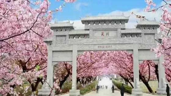 正定古城櫻花小鎮