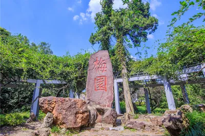 梅园