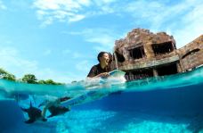 海哺栖息地-新加坡