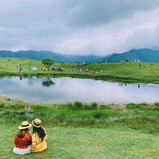 成都甘海子 轻徒步一日游【高山草甸牧场|高山秋千|小众网红徒步地】