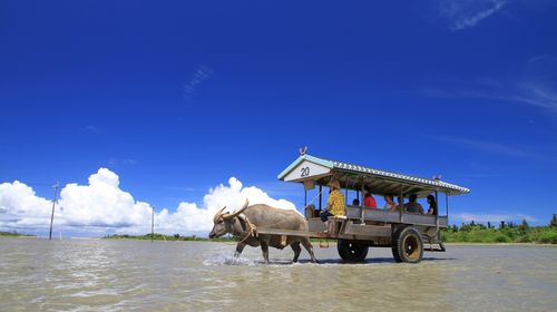 西表岛 竹富町 由布岛 竹富岛一日游 冲绳石垣岛周边3离岛观光一日游 线路推荐 携程玩乐