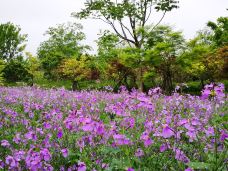 宁波植物园-宁波-C-IMAGE