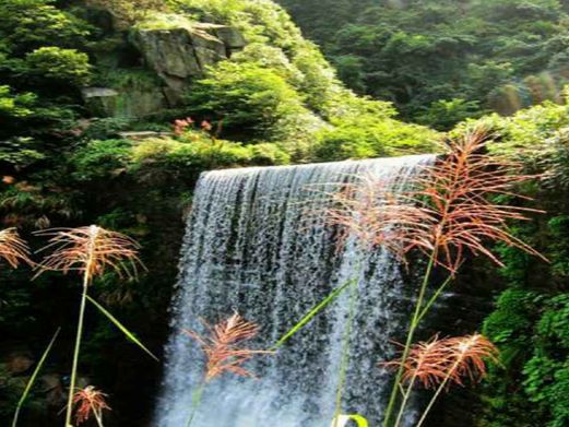 庐山东林大峡谷