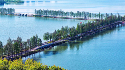 湖北地市gdp_湖北地级市gdp排名(3)