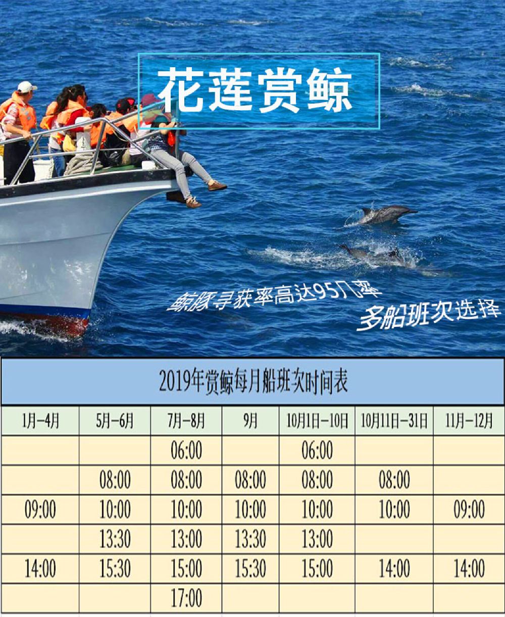 花莲出海赏鲸豚半日游市区民宿接送线路推荐 携程玩乐
