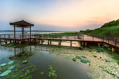 阳澄湖莲花岛