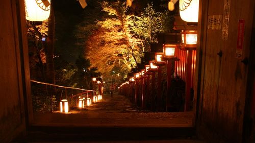 京都 步行行程 贵船红叶灯笼 叡山电车枫叶隧道 晚餐线路推荐 携程玩乐