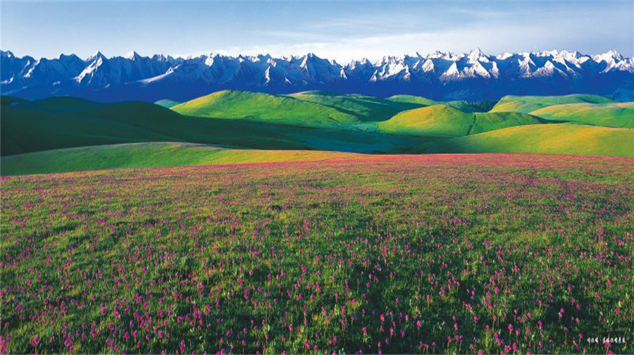 鲜花台