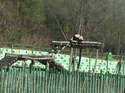 亚布力森林动物园