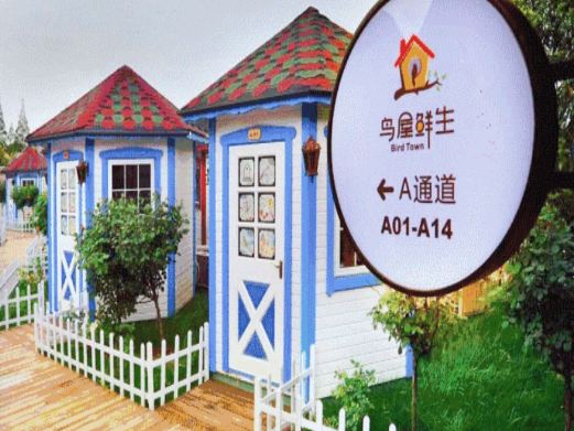 鸟屋乐园