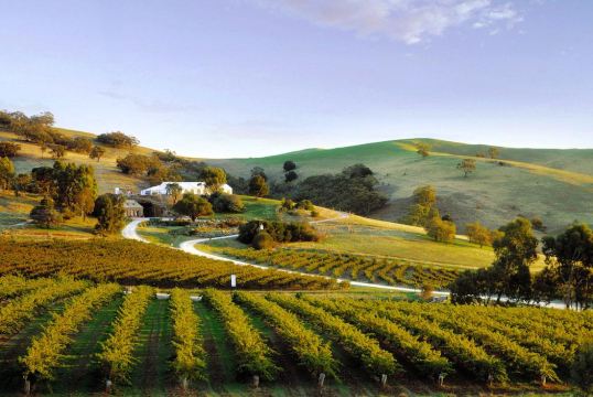 巴罗萨御兰堡酒庄体验行下单立减200