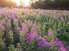 宁波植物园-宁波-C-IMAGE