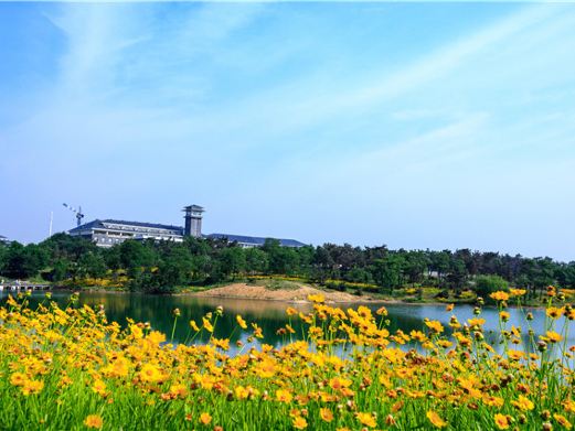 青松岭森林公园