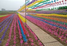 万亩花海景点图片