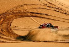 大沙头生态文化旅游区景点图片