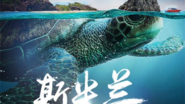 普吉岛斯米兰群岛浮潜一日游【多船型/快速登岛/2次浮潜】