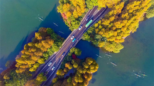 杭州西湖十景+龙井问茶+九溪烟树+雷峰塔一日