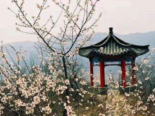 佛光山